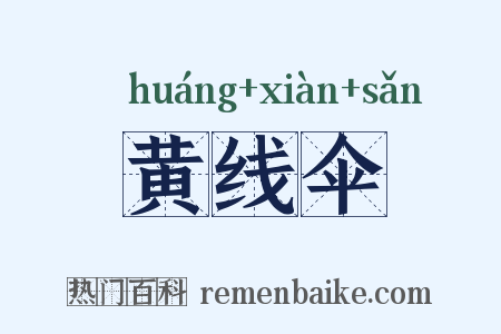黄线伞是什么意思的图片